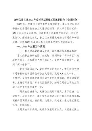 公司党委书记2023年度抓基层党建工作述职报告（金融国企）