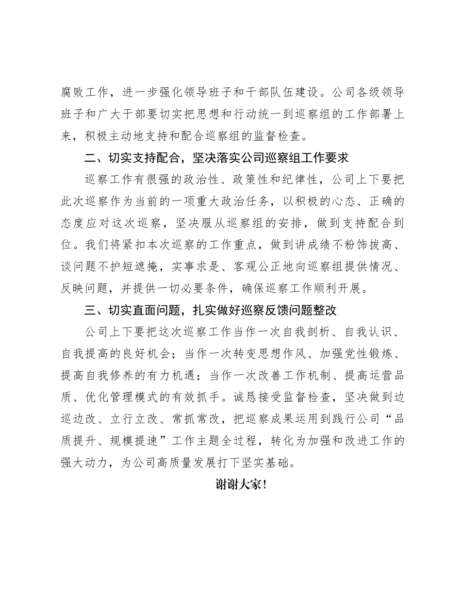 公司党委书记代表公司党委配合巡察工作讲话_第2页
