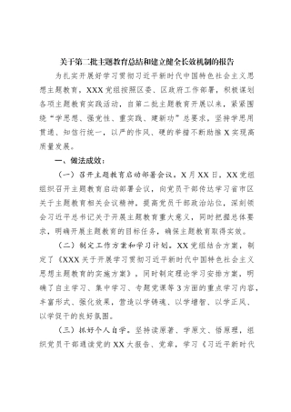关于第二批主题教育总结和建立健全长效机制的报告