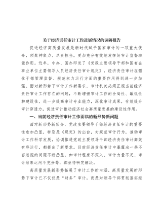 关于经济责任审计工作进展情况的调研报告
