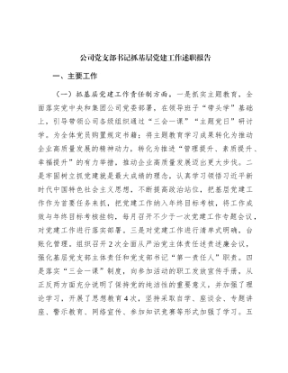 国企党支部书记抓党建工作述职报告2700字