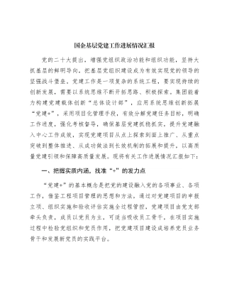 国企公司基层党建工作进展情况汇报（4100字总结）