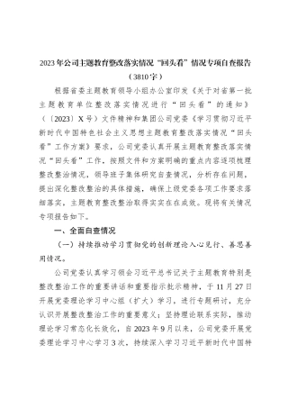 国企主题教育整改落实情况“回头看”情况专项自查报告