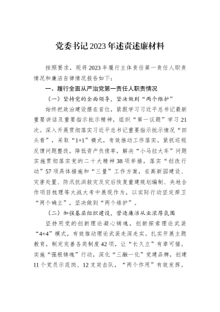 党委书记2023年述责述廉材料