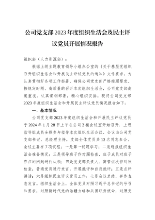 公司党支部2023年度组织生活会及民主评议党员开展情况报告