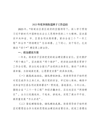 2023年度乡镇街道班子工作总结(1)