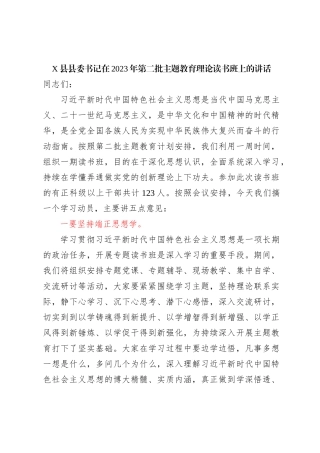 X县县委书记在2023年第二批主题教育理论读书班上的讲话