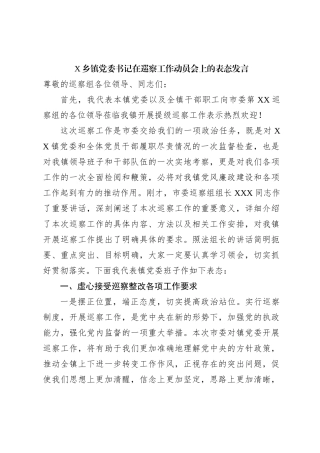 X乡镇党委书记在巡察工作动员会上的表态发言
