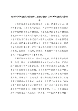 把铸牢中华民族共同体意识工作抓实抓细 讲好中华民族共同体故事