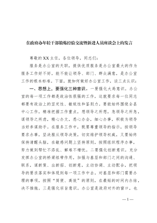 在政府办年轻干部锻炼经验交流暨新进人员座谈会上的发言