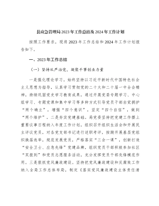 县应急管理局2023年工作总结