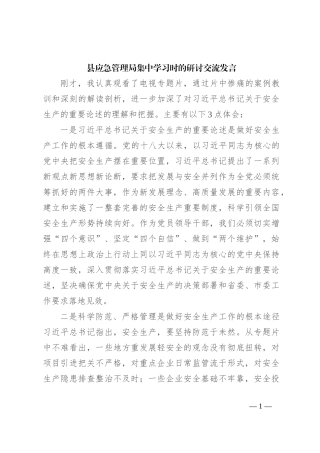 县应急管理局集中学习时的研讨交流发言