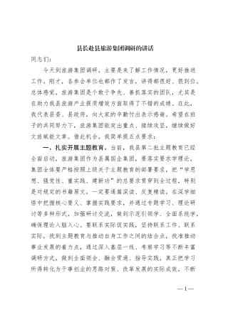 县长赴县旅游集团调研的讲话