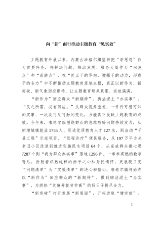 向“新”而行 推动主题教育“见实效”