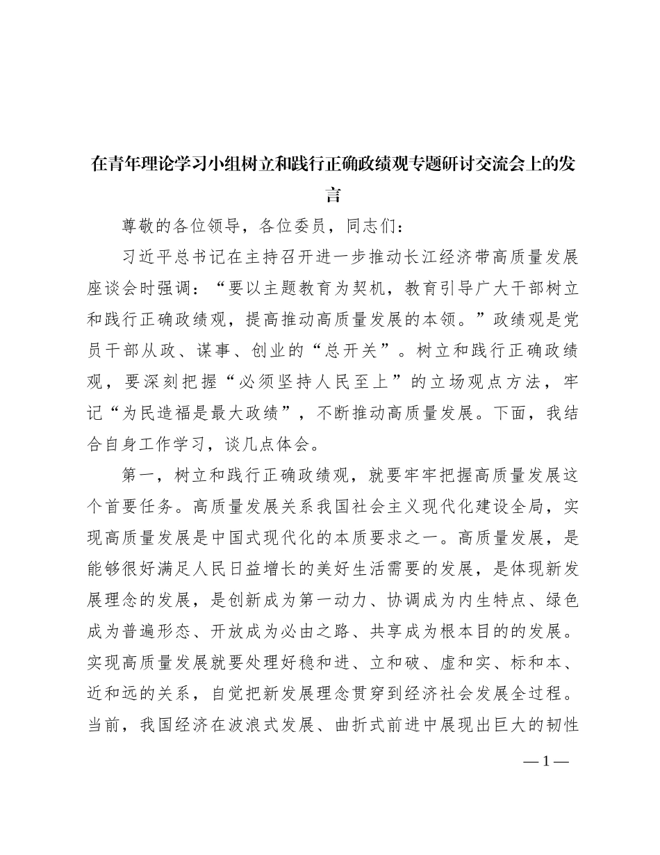 在青年理论学习小组树立和践行正确政绩观专题研讨交流会上的发言_第1页