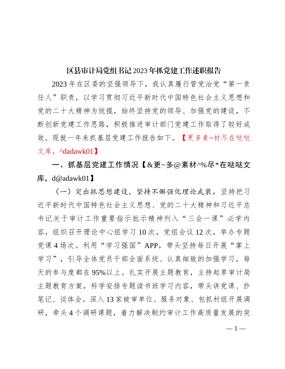 区县审计局党组书记2023年抓党建工作述职报告_第1页