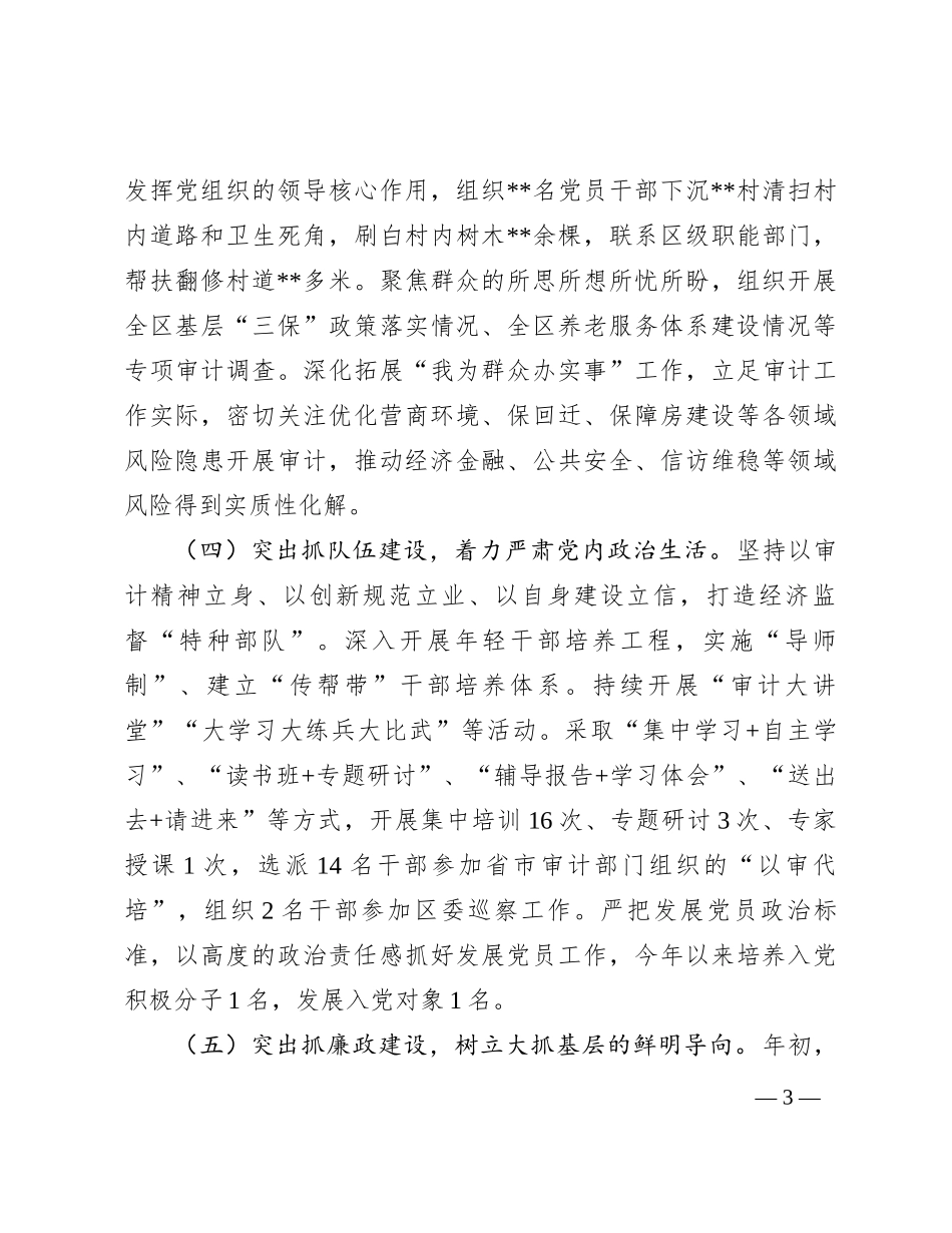 区县审计局党组书记2023年抓党建工作述职报告_第3页