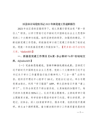 区县审计局党组书记2023年抓党建工作述职报告