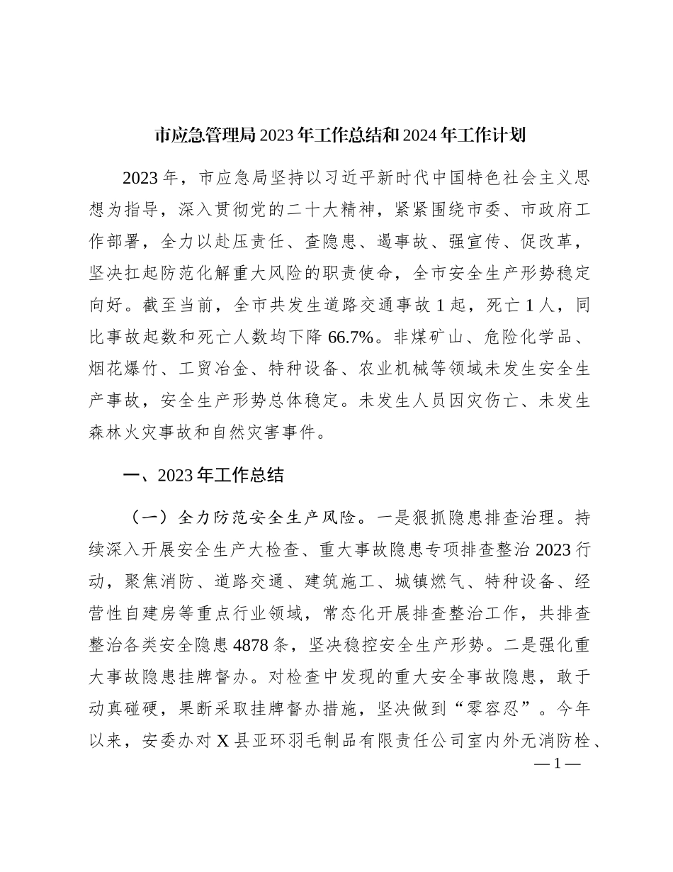 市应急管理局2023年工作总结_第1页