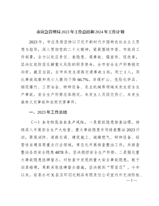 市应急管理局2023年工作总结