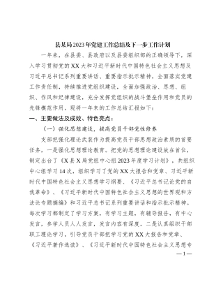 县某局2023年党建工作总结及下一步工作计划