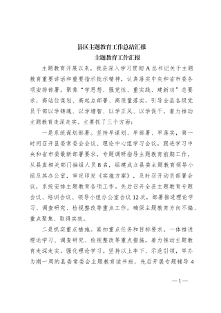 县区主题教育工作总结汇报