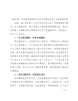 交流材料：学深悟透 奋楫笃行 坚定不移推动公安工作高质量发展