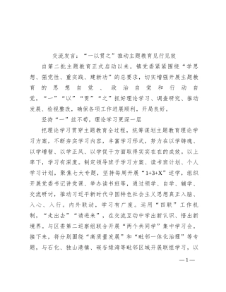 交流发言：“一以贯之”推动主题教育见行见效