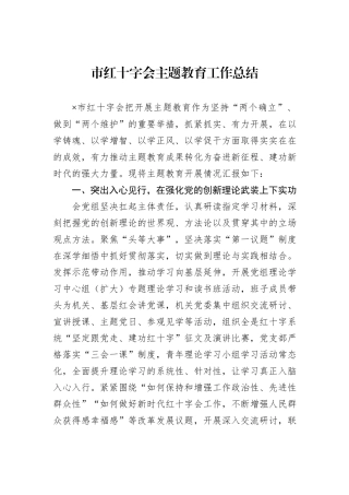 市红十字会主题教育工作总结