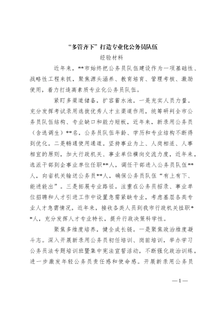 “多管齐下”打造专业化公务员队伍经验材料
