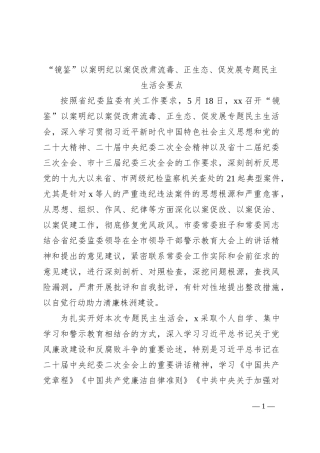 “镜鉴”以案明纪以案促改肃流毒、正生态、促发展专题民主生活会要点