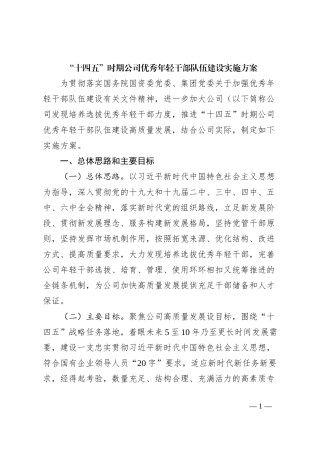 “十四五”时期公司优秀年轻干部队伍建设实施方案