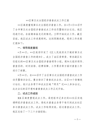 ××区第五次全国经济普查试点工作汇报