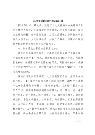 2023 年镇政府经济发展汇报