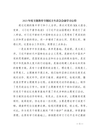 2023年度主题教育专题 民主生活会会前学习心得