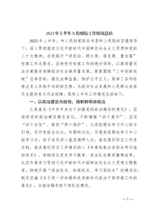 2023年上半年X检察院工作情况总结