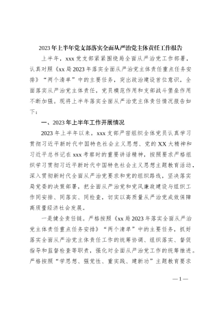 2023年上半年党支部落实全面从严治党主体责任工作报告