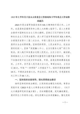 2023年上半年关于县人大常委会工作情况及下半年重点工作安排的报告