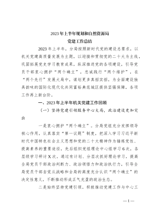 2023年上半年规划和自然资源局党建工作总结