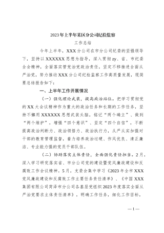 2023年上半年某区分公司纪检监察工作总结
