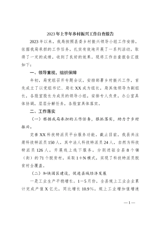 2023年上半年乡村振兴工作自查报告