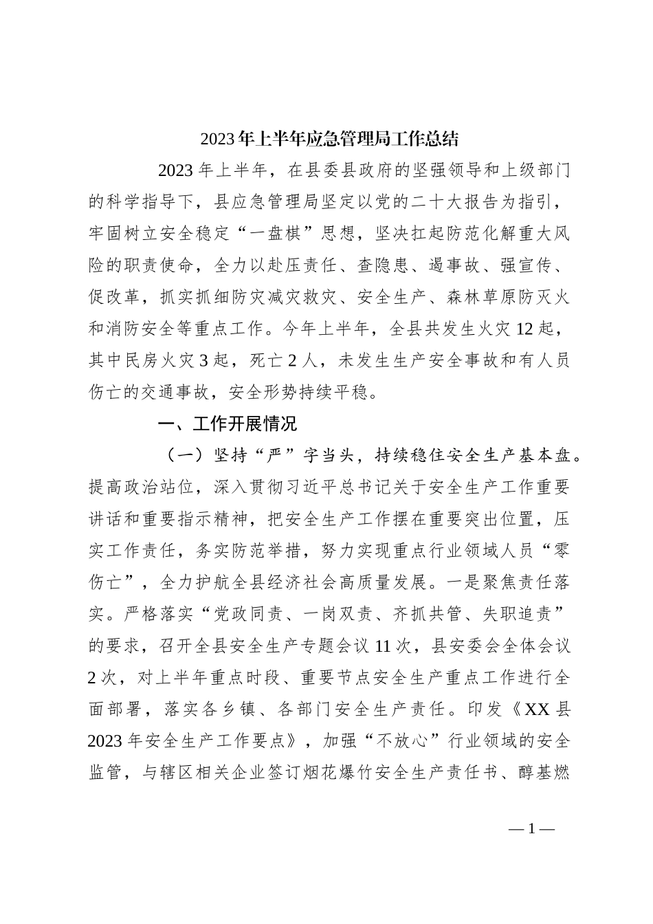 2023年上半年应急管理局工作总结_第1页