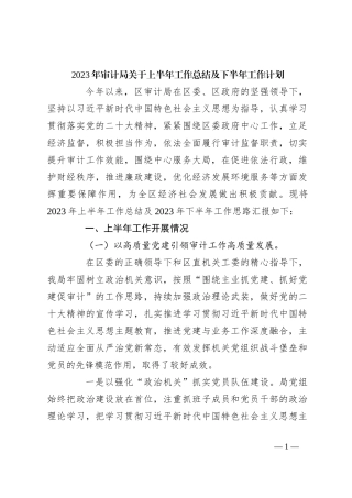 2023年审计局关于上半年工作总结及下半年工作计划