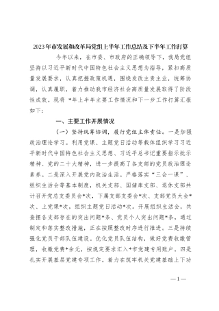 2023年市发展和改革局党组上半年工作总结及下半年工作打算