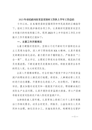 2023年市民政局驻某县某镇村工作队上半年工作总结