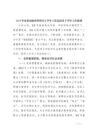 2023年市委市政府督查局上半年工作总结及下半年工作谋划