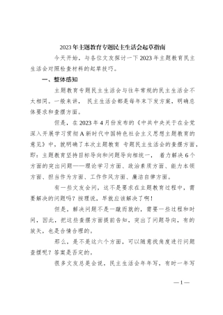 2023年主题教育专题民主生活会起草指南