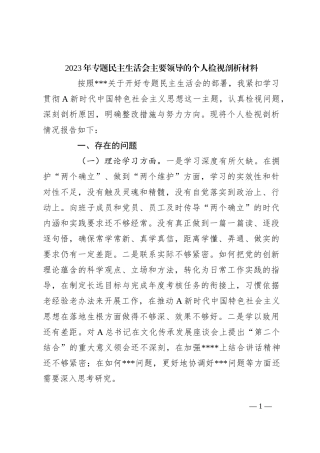 2023年专题民主生活会主要领导的个人检视剖析材料