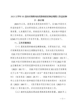 2023上半年XX县医疗保障局医药价格招采和法规股工作总结和下一步计划