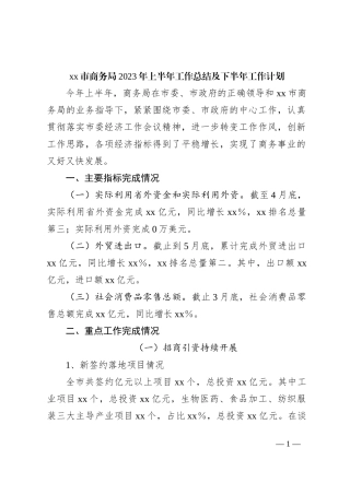 xx市商务局2023年上半年工作总结及下半年工作计划